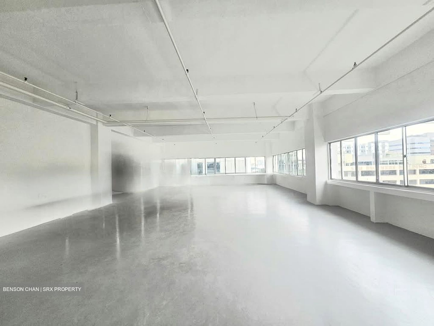 Perfect One (D13), Warehouse #567503871